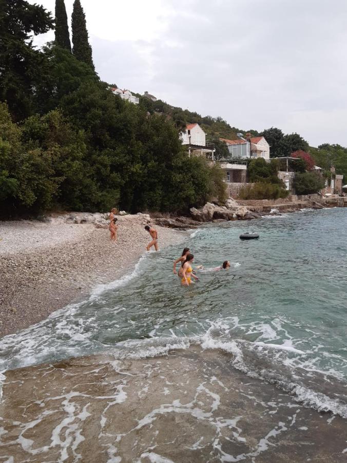 Oliva Apartments Lozica Dubrovnik Ruang foto